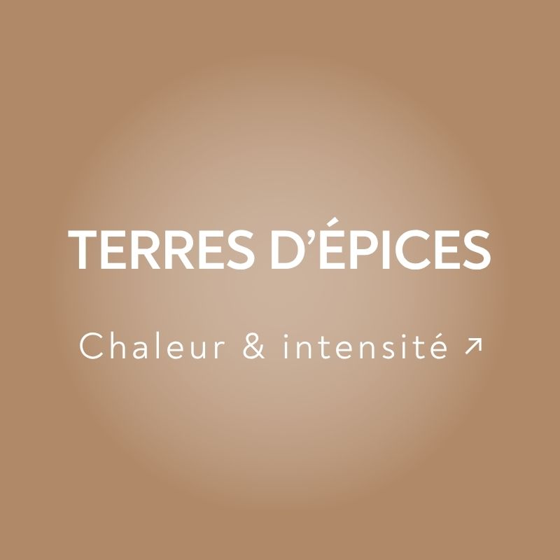 CARD TERRES D'EPICES
